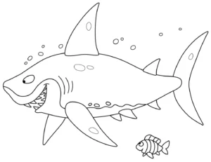 Free Shark Picture To Color In