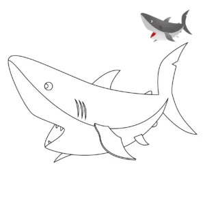 Free Shark Picture To Color In