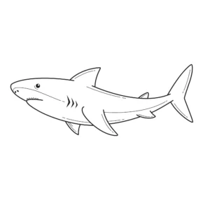 Free Shark Picture To Color In