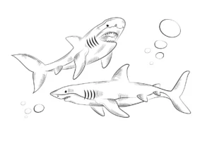Free Shark Picture To Color In