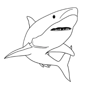 Free Shark Picture To Color In