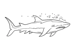 Free Shark Picture To Color In