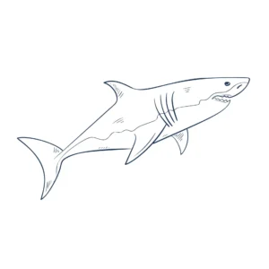 Free Shark Picture To Color In
