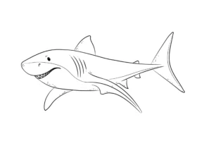 Free Shark Picture To Color In
