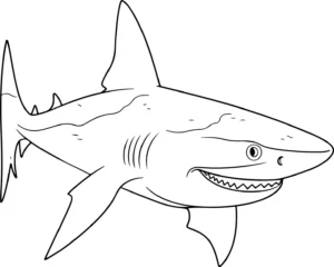 Free Shark Picture To Color In