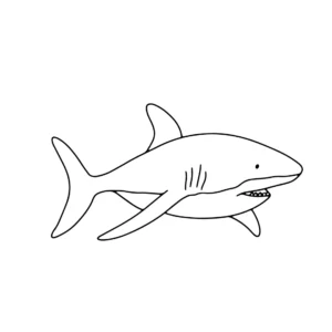 Free Shark Picture To Color In