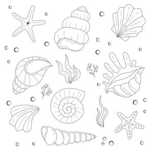 Free Shell Picture To Color In