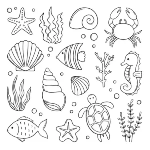 Free Shell Picture To Color In