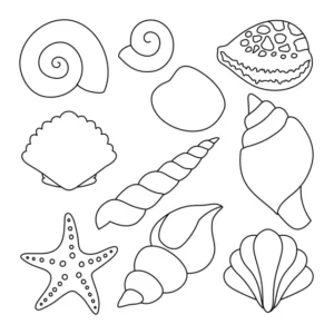 Free Shell Picture To Color In