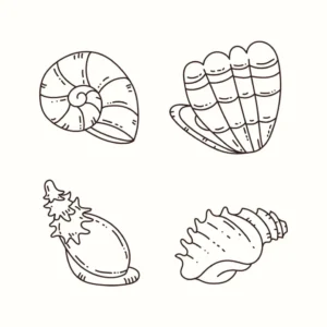 Free Shell Picture To Color In