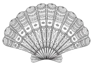 Free Shell Picture To Color In