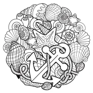 Free Shell Picture To Color In