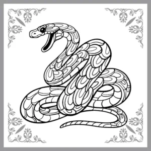 Free Snake Picture To Color In