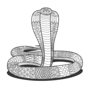Free Snake Picture To Color In