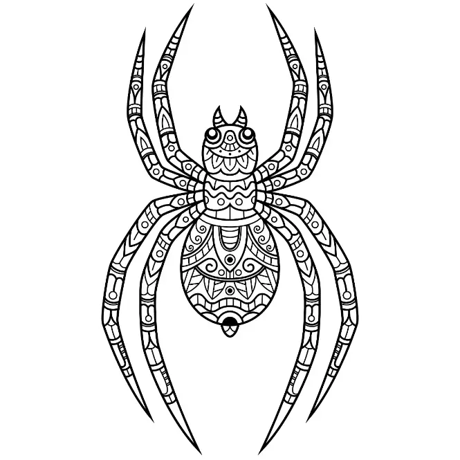Free Spider Picture To Color In
