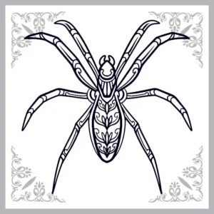Free Spider Picture To Color In