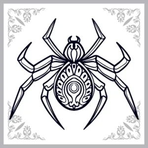 Free Spider Picture To Color In