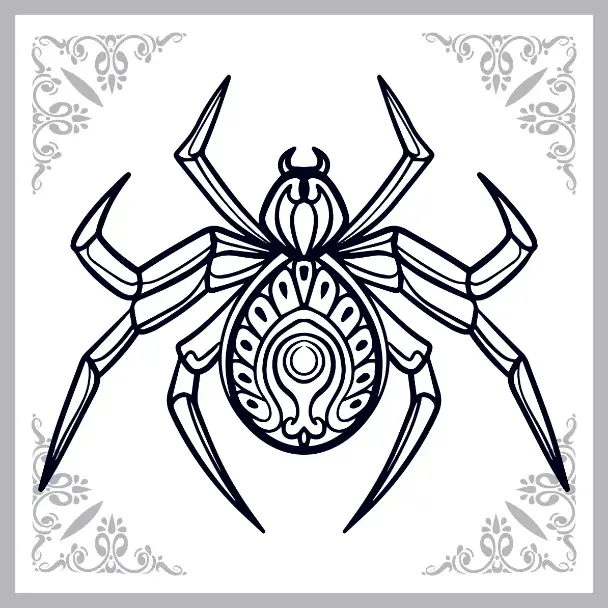 Free Spider Picture To Color In