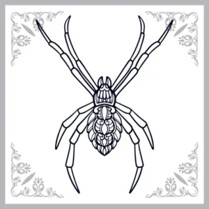 Free Spider Picture To Color In