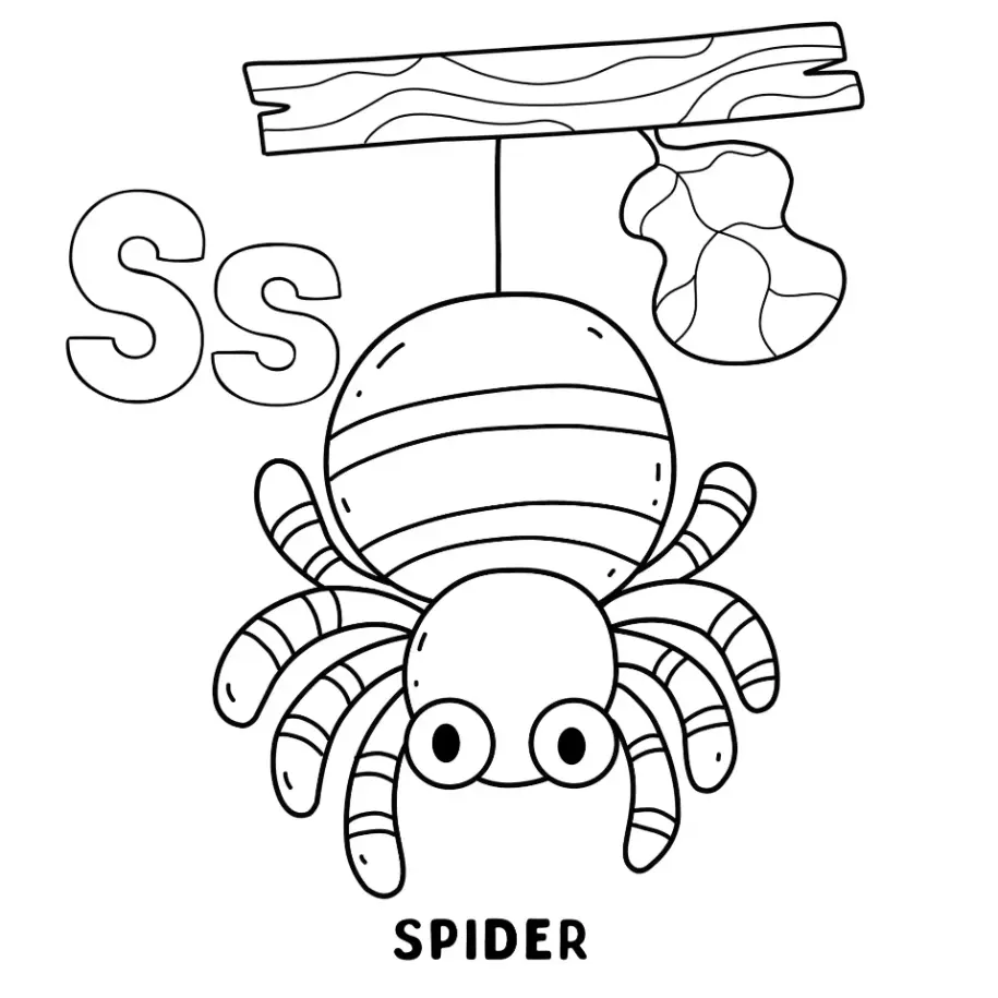 Free Spider Picture To Color In