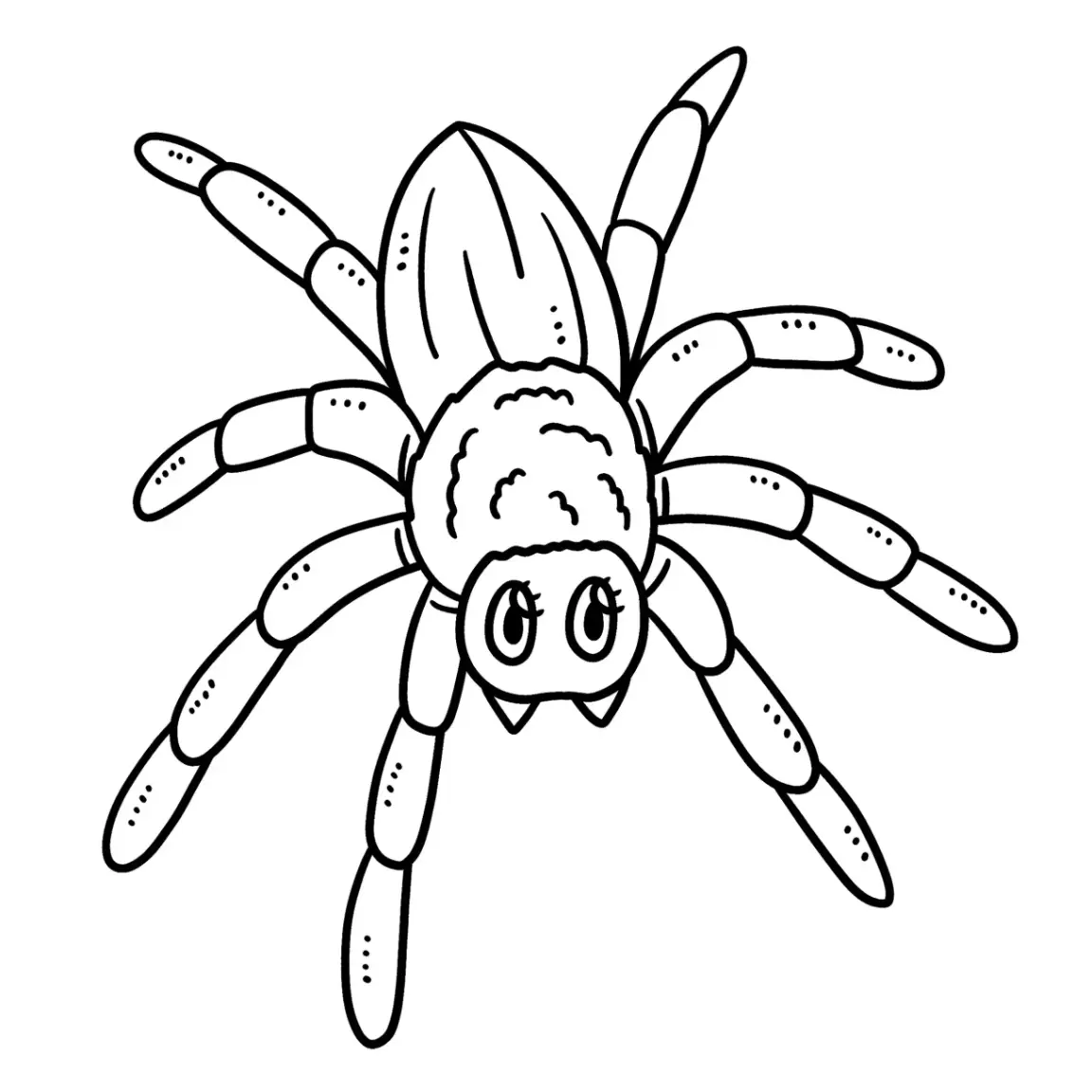 Free Spider Picture To Color In