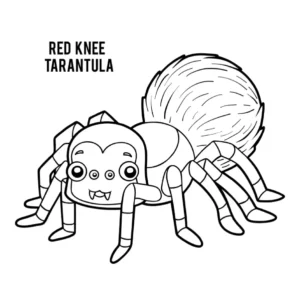 Free Spider Picture To Color In