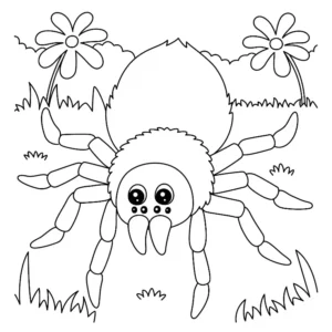 Free Spider Picture To Color In