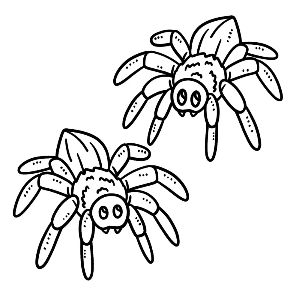 Free Spider Picture To Color In