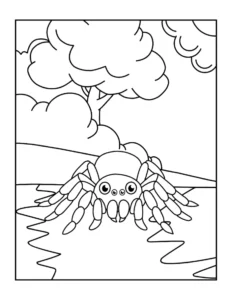 Free Spider Picture To Color In