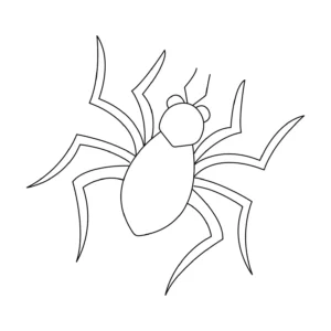 Free Spider Picture To Color In