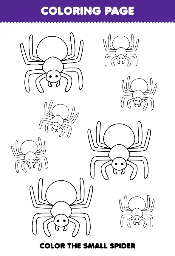 Free Spider Picture To Color In