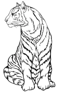 Free Tiger Picture To Color In