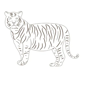 Free Tiger Picture To Color In