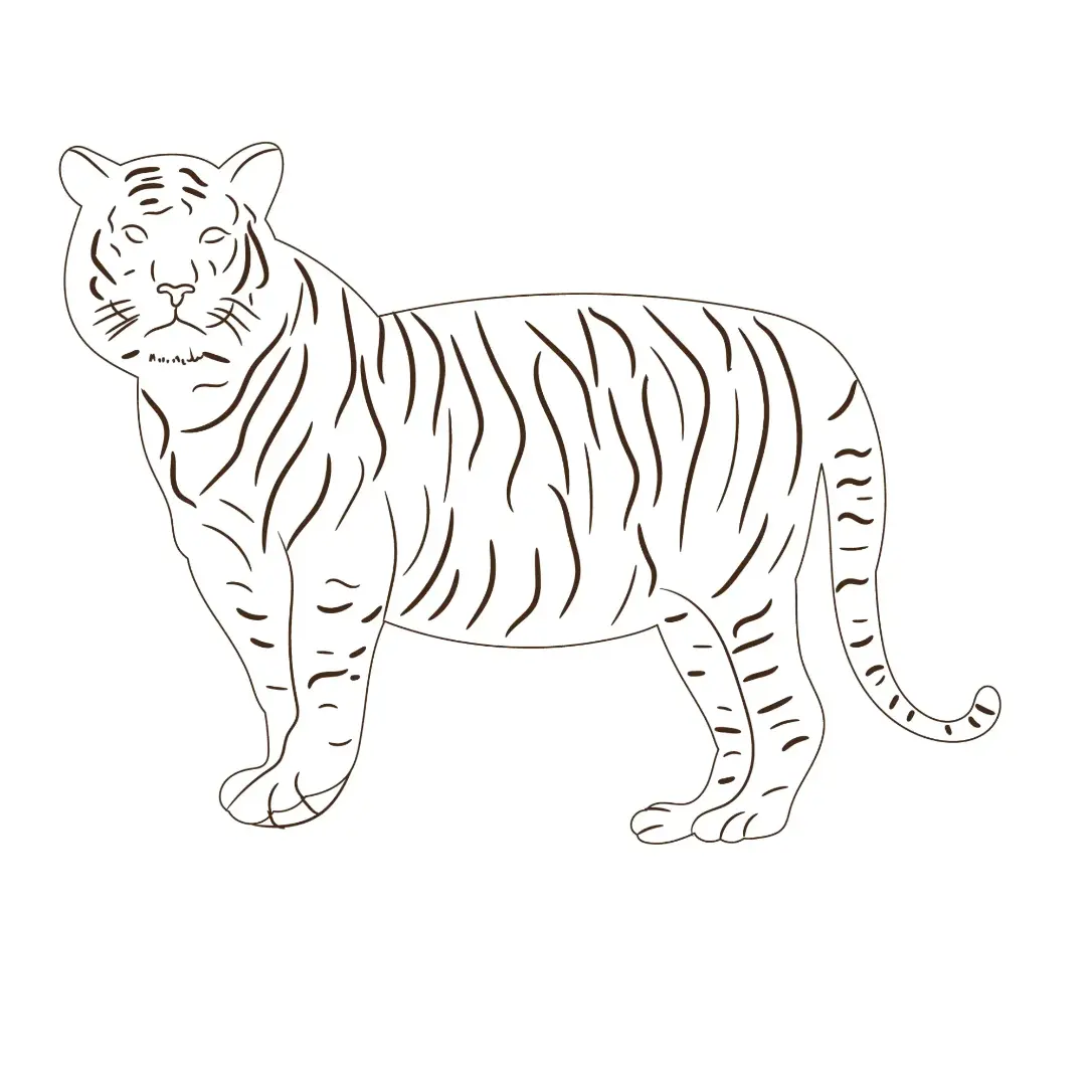 Free Tiger Picture To Color In