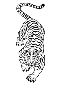 Free Tiger Picture To Color In