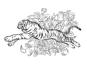 Free Tiger Picture To Color In