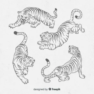 Free Tiger Picture To Color In