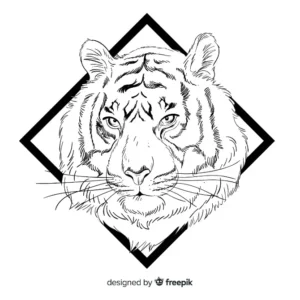 Free Tiger Picture To Color In