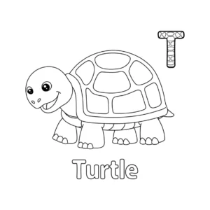 Free Turtle Picture To Color In