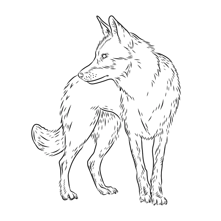 Remove “Free Wolf Picture To Color In 76” from Bulk EditFree Wolf Picture To Color In