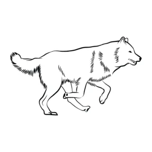 Free Wolf Picture To Color In