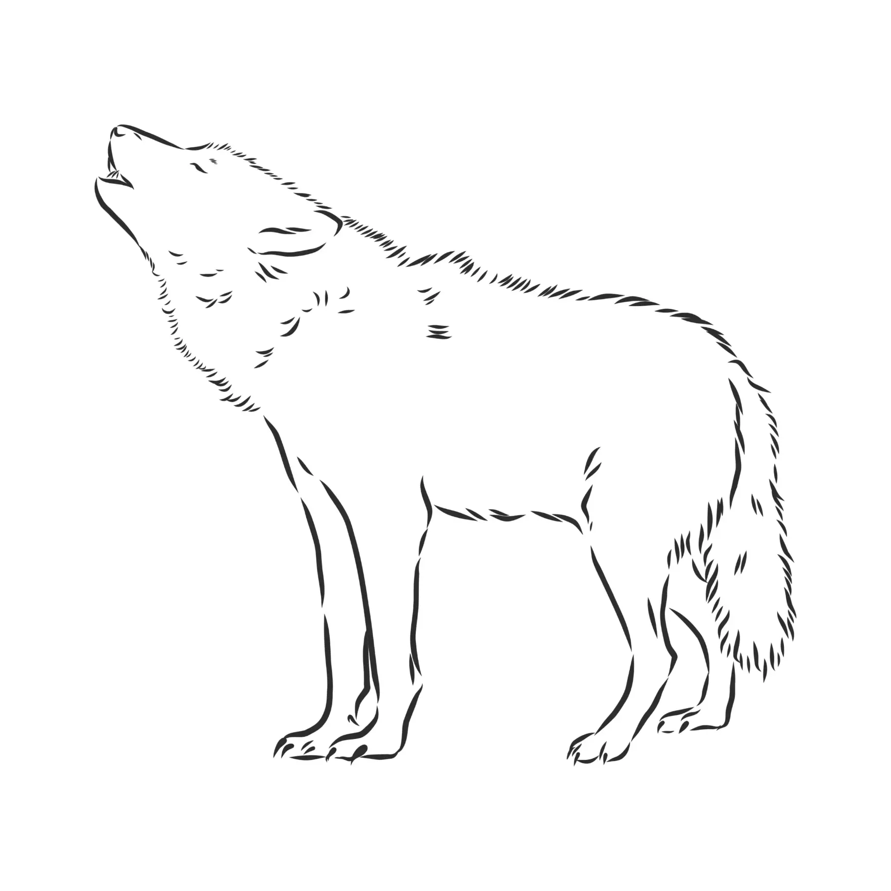 Remove “Free Wolf Picture To Color In 76” from Bulk EditFree Wolf Picture To Color In