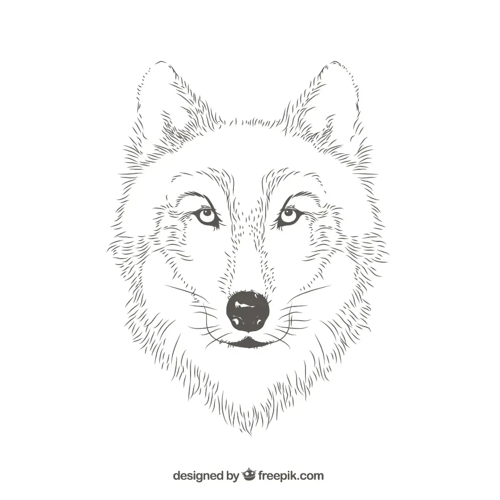 Remove “Free Wolf Picture To Color In 76” from Bulk EditFree Wolf Picture To Color In